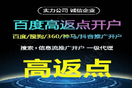 百度SEO推广公司案例精选：助力企业快速崛起